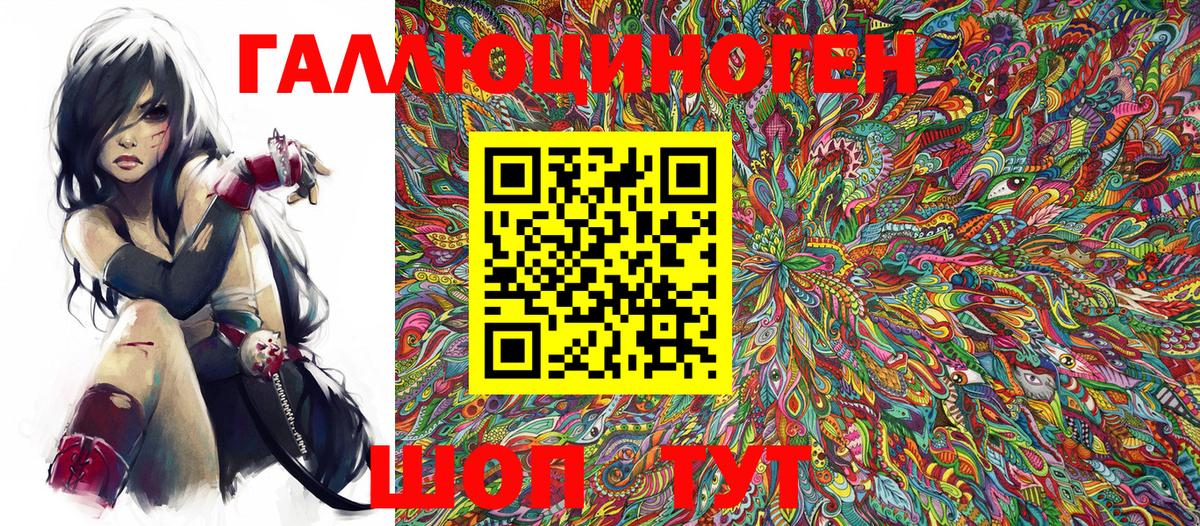 Галлюциногенные грибы Psilocybe Красноярск
